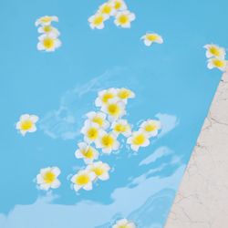 ベイサイド迎賓館 神戸の写真35枚目