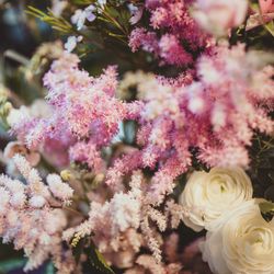 赤坂プリンス クラシックハウスの写真9枚目