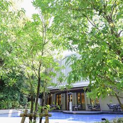 リストランテ カノビアーノ の写真5枚目