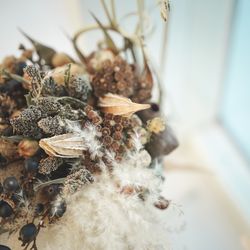 ララシャンス 博多の森の写真24枚目