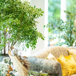 鶴見ノ森 迎賓館の写真5枚目