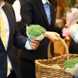 オランジュベールの写真19枚目