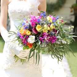 オランジュベールの写真13枚目