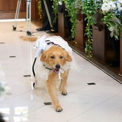 オランジュベールの写真24枚目