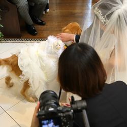 オランジュベールの写真11枚目