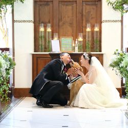 オランジュベールの写真2枚目