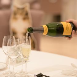 青山セントグレース大聖堂の写真15枚目