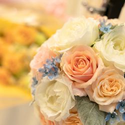 ル・センティ フォーリア 大阪の写真35枚目