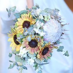 ザ・カワブンナゴヤの写真15枚目