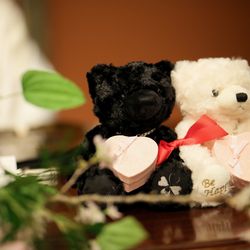 ホテル雅叙園東京の写真17枚目