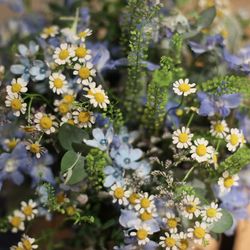 青山セントグレース大聖堂の写真3枚目