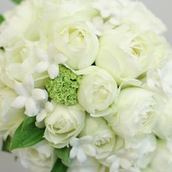 アニヴェルセル 白壁の写真7枚目