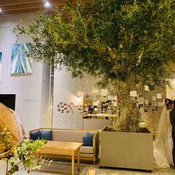 ブルー:ブランの写真27枚目