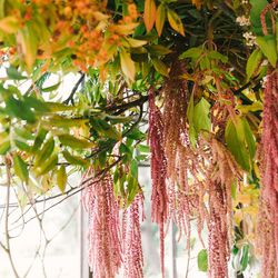 古我邸の写真13枚目