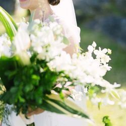 サイレントクラブの写真7枚目