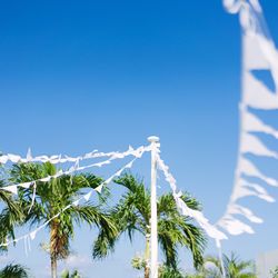 サイレントクラブの写真7枚目