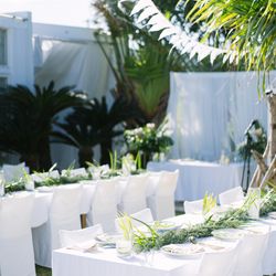 サイレントクラブの写真35枚目