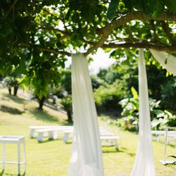 サイレントクラブの写真21枚目