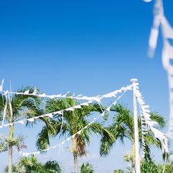 サイレントクラブの写真20枚目