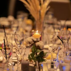 マンダリンポルトの写真6枚目