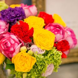 The Forest of Loldの写真11枚目