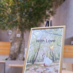 ブルー:ブランの写真6枚目