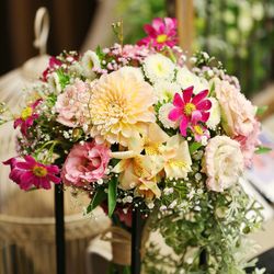 ブルー:ブランの写真35枚目