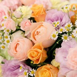 クレール ベイサイドの写真20枚目