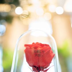 ラソールガーデン大阪の写真10枚目