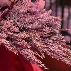 ラソールガーデン大阪の写真22枚目