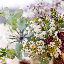 巴里市場の写真7枚目