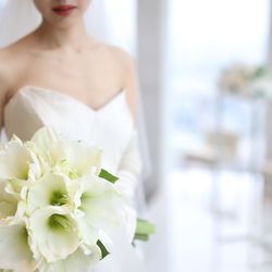 ラグナヴェール プレミア  LAGUNAVEIL PREMIERの写真21枚目