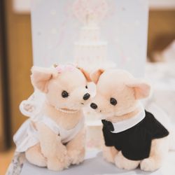 メゾン プルミエールの写真7枚目