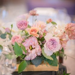 赤坂プリンス クラシックハウスの写真18枚目