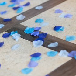 リバーバンク大阪の写真18枚目