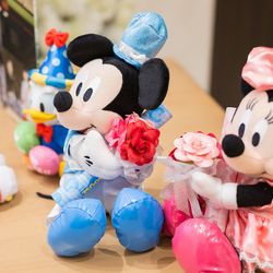 ラグナヴェール東京の写真15枚目