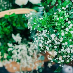 ホテルフランクスの写真14枚目