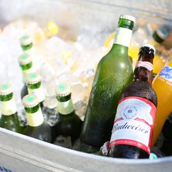 ララシャンス 博多の森の写真31枚目