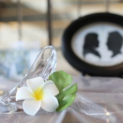 ララシャンス 博多の森の写真14枚目