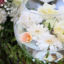 ララシャンス 博多の森の写真9枚目