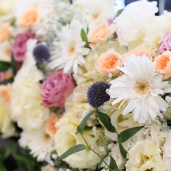 ララシャンス 博多の森の写真4枚目