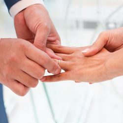 ララシャンス 博多の森の写真17枚目