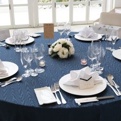 ビアンカーラ マリーナテラスの写真14枚目