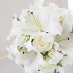 ビアンカーラ マリーナテラスの写真15枚目