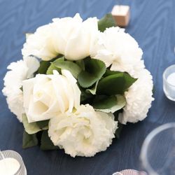 ビアンカーラ マリーナテラスの写真24枚目