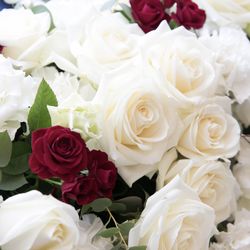 ビアンカーラ マリーナテラスの写真11枚目