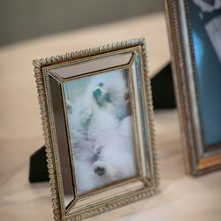 横浜ロイヤルパークホテルの写真8枚目