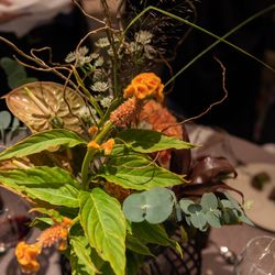 ザ・カワブンナゴヤの写真36枚目