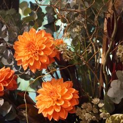 ザ・カワブンナゴヤの写真2枚目