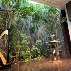 クラシカ表参道の写真8枚目